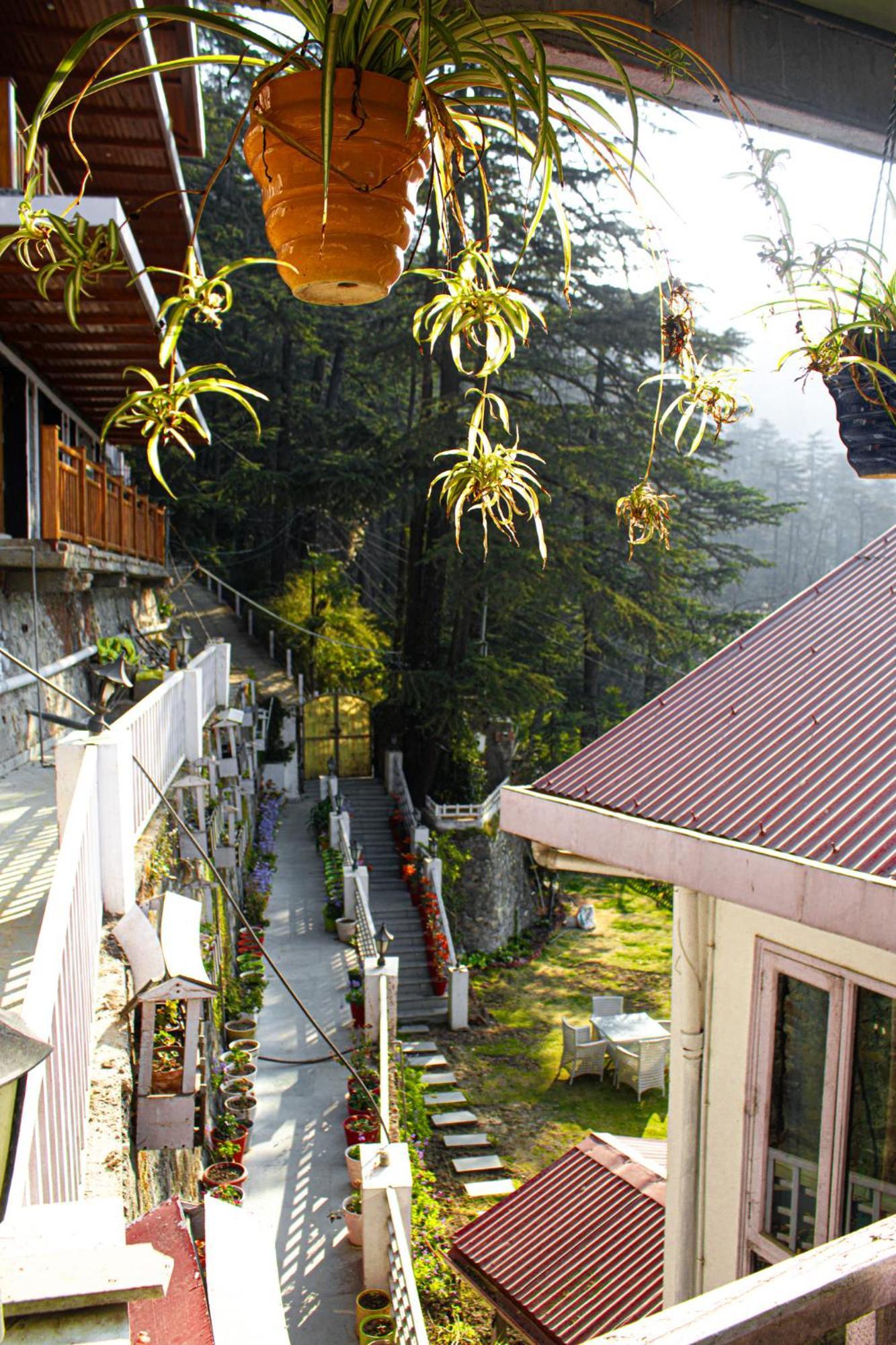 Willa Whispering Pines Shimla Zewnętrze zdjęcie